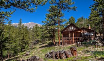 1217 Big Owl Rd, Allenspark, CO 80510