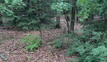 70 Woodland Rd, Albrightsville, PA 18210