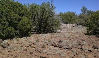 Tbd CR 8026, Concho, AZ 85924
