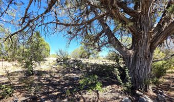 3200 W Poppy Rd, Ash Fork, AZ 86320