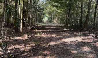 971 Somerset Rd SE, Bogue Chitto, MS 39629