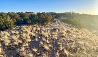 Tbd Co Rd 5062 2.39 Acres, Concho, AZ 85924