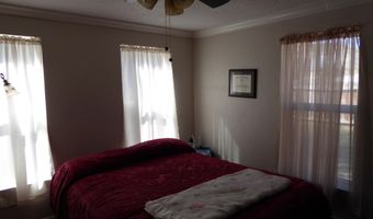 337 Ogden Ave, Ely, NV 89301