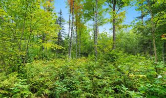 Double Bend Road, Argonne, WI 54511