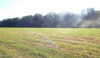 517 247 Country Rd, Bruce, MS 38915