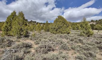 unit 10 10, Alton, UT 84710