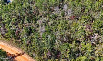 Grand Mesa Avenue, Alford, FL 32420