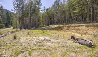 2799 Quines Creek Rd, Azalea, OR 97410
