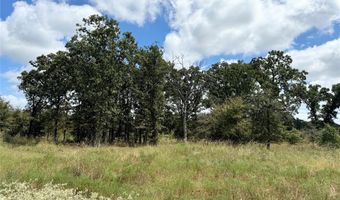 Lot 21 Rains County Rd 2610, Alba, TX 75410