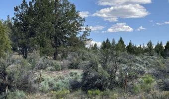 HWY 140 300, Beatty, OR 97621