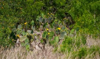 FM 735, Alice, TX 78332