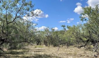 Tbd TBA County Road 100, Abilene, TX 79601