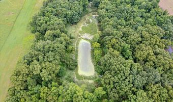 11775 25 1/2 Mile Rd, Albion, MI 49224