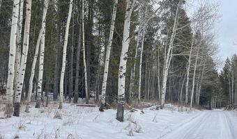 4523 S Elk Loop Rd, Ashton, ID 83420