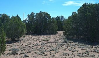 Concho Valley lot 3, Concho, AZ 85924