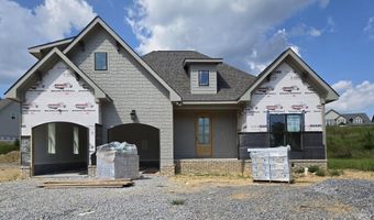 10597 Brownspring Dr 115, Apison, TN 37302
