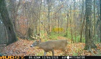 1 8 Miles Due South Down Anding Oil City Rd, Bentonia, MS 39040