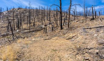 3600 Moondance Way, Bellvue, CO 80512