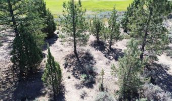 Unit 5 - Lot 97 Lunn Ct, Weed, CA 96094