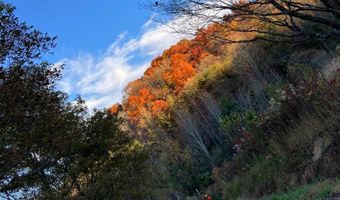 679 New Hope Church Rd, Barbourville, KY 40906