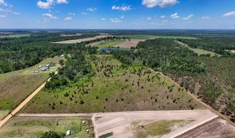 Lot # 1 - 6.2 Ac Perry Horton, Adrian, GA 31002