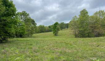 Co Rd 321 Route 5, Ava, MO 65608