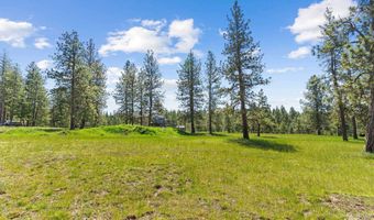 507 Bearlea Rd, Anatone, WA 99402