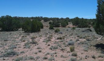Tbd Rio Ranch, Concho, AZ 85924