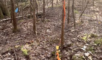 Thorn Hill Road lot 406/22, Bethlehem, NH 03574
