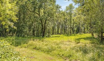 29311 NE 124TH Ave, Battle Ground, WA 98604