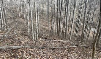 Martins Creek Road, Barnardsville, NC 28709