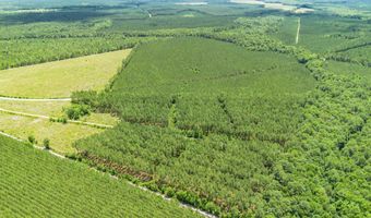 Ten Acre Rd, Andrews, SC 29510