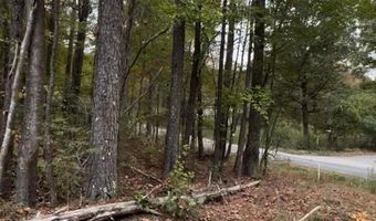 0 COUNTY ROAD 3964, Arley, AL 35541