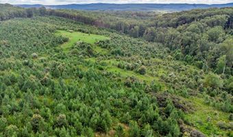 62- Acres Grandmas Hill Rd, Amherst, VA 24521