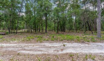 SE 152ND - RAVENSWOOD RD PARCEL B & C LOTS 16 17 Place, Altoona, FL 32702