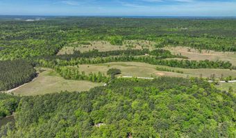 489 FOURWING LAKE Rd Lot 0, Alabaster, AL 35007
