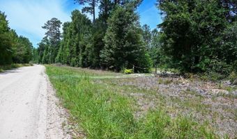 Rooks Road, Atkinson, NC 28421
