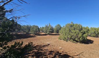 21 Co Rd 8032 # 8032, Concho, AZ 85924