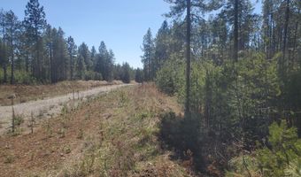 Nka Sheep Springs 10 acres, Athol, ID 83801