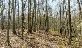 E Captina Highway Road, Alledonia, OH 43902