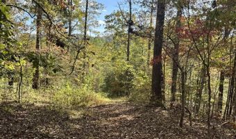 1 Mooretown Hill Rd, Beattyville, KY 41311