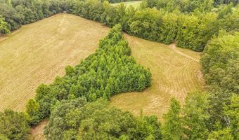 0 SEATON, Adamsville, TN 38310