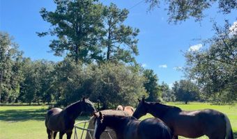 SW 107TH STREET, Archer, FL 32618