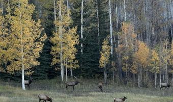 1833 W Buttermilk Rd, Aspen, CO 81611