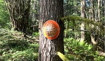 Nowakowski Rd, Banks, OR 97106
