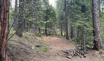 37 Iroquois Dr, Camp Connell, CA 95223