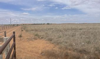 16903 N County Rd 2000, Abernathy, TX 79311