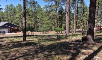 79 Spruce Way, Bayfield, CO 81122