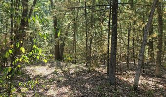 Lot 36 Wildwood Drive, Allegan, MI 49010