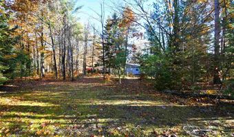 8990 PARK, Alanson, MI 49706
